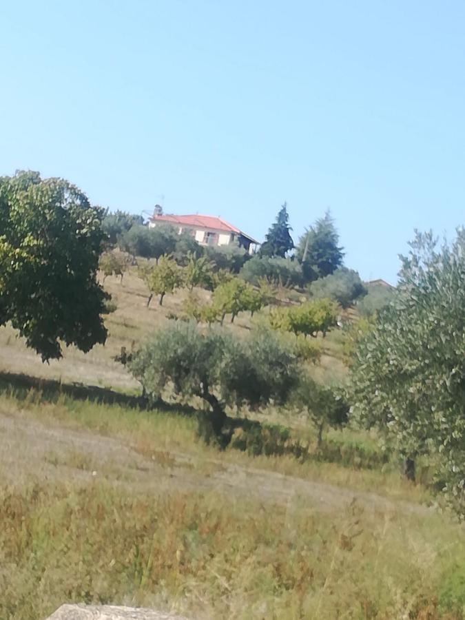 Casa Das Argolas Macedo de Cavaleiros Kültér fotó